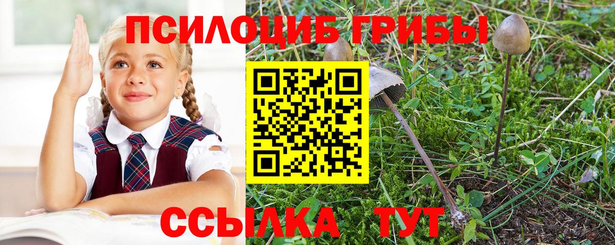 Псилоцибиновые грибы MAGIC MUSHROOMS  Вход с VPN  Клинцы  Галлюциногенные грибы GOLDEN TEACHER 